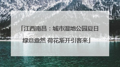 江西南昌：城市湿地公园夏日绿意盎然 荷花渐开引客来