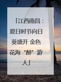 江西南昌：夏日时节向日葵盛开 金色花海“醉”游人
