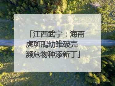 江西武宁：海南虎斑鳽幼雏破壳 濒危物种添新丁