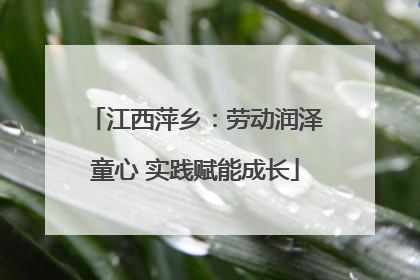 江西萍乡：劳动润泽童心 实践赋能成长