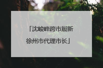 沈峻峰跨市履新徐州市代理市长