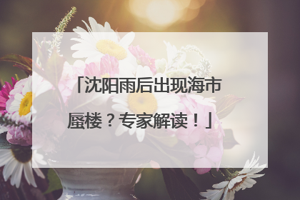 沈阳雨后出现海市蜃楼?专家解读!