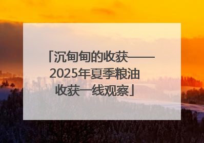 沉甸甸的收获——2025年夏季粮油收获一线观察