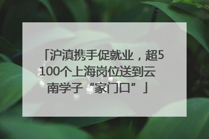 沪滇携手促就业，超5100个上海岗位送到云南学子“家门口”