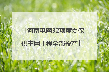 河南电网32项度夏保供主网工程全部投产