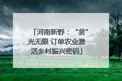 河南新野：“薯”光无限 订单农业激活乡村振兴密码