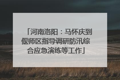 河南洛阳：马怀庆到偃师区指导调研防汛综合应急演练等工作
