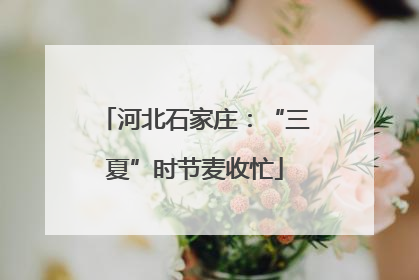 河北石家庄：“三夏”时节麦收忙