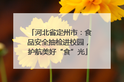 河北省定州市：食品安全抽检进校园，护航美好“食”光