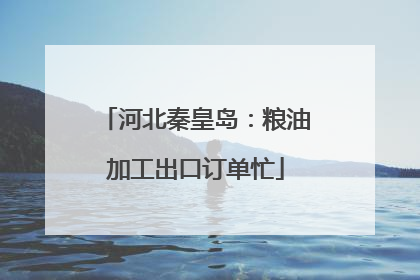 河北秦皇岛：粮油加工出口订单忙