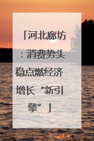 河北廊坊：消费势头稳点燃经济增长“新引擎”