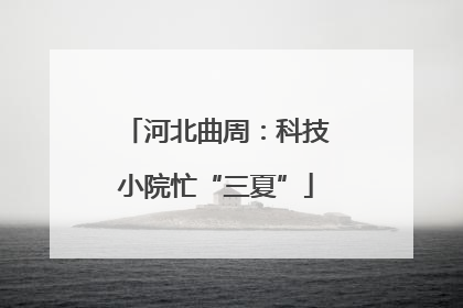 河北曲周：科技小院忙“三夏”