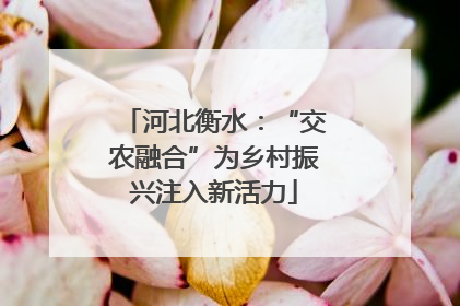 河北衡水：“交农融合”为乡村振兴注入新活力