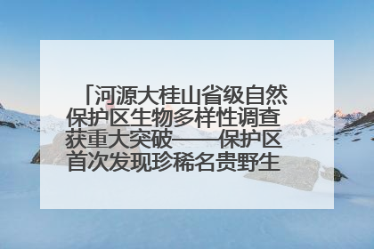 河源大桂山省级自然保护区生物多样性调查获重大突破——保护区首次发现珍稀名贵野生干巴菌与钝尾两头蛇