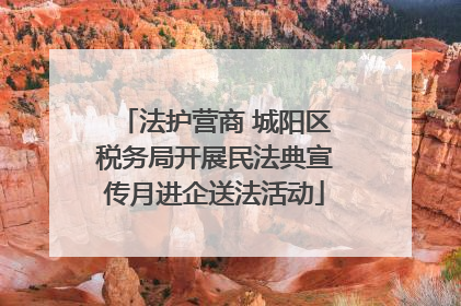 法护营商 城阳区税务局开展民法典宣传月进企送法活动