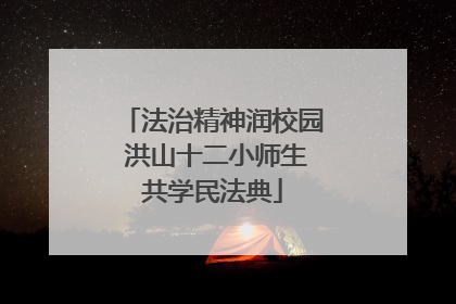 法治精神润校园 洪山十二小师生共学民法典