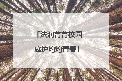 法润菁菁校园 庭护灼灼青春