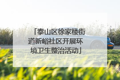 泰山区徐家楼街道新峪社区开展环境卫生整治活动