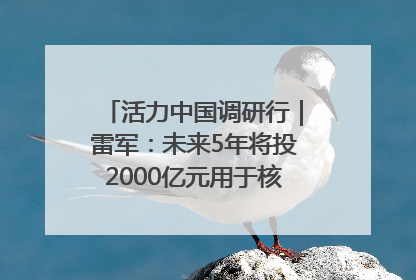 活力中国调研行｜雷军：未来5年将投2000亿元用于核心技术研发