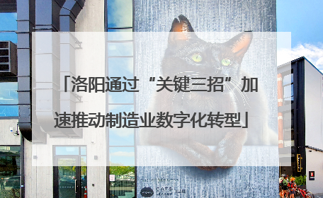洛阳通过“关键三招”加速推动制造业数字化转型