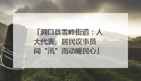 洞口县雪峰街道：人大代表、居民议事员 闻“汛”而动暖民心