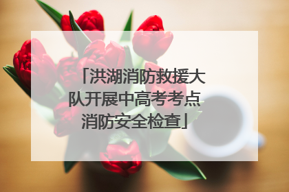 洪湖消防救援大队开展中高考考点消防安全检查