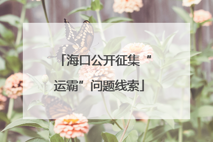 海口公开征集“运霸”问题线索