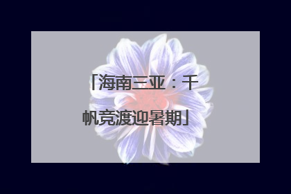 海南三亚：千帆竞渡迎暑期