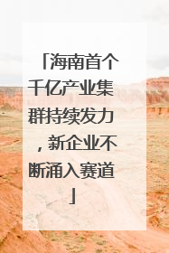 海南首个千亿产业集群持续发力，新企业不断涌入赛道