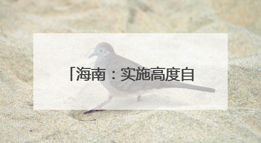 海南：实施高度自由便利开放的运输政策，加快构建现代综合交通运输体系
