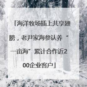 海洋牧场插上共享翅膀，老尹家海参认养“一亩海”累计合作近200企业客户