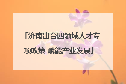 济南出台四领域人才专项政策 赋能产业发展