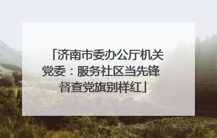 济南市委办公厅机关党委：服务社区当先锋 督查党旗别样红
