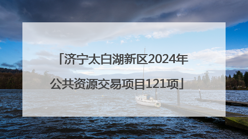济宁太白湖新区2024年公共资源交易项目121项