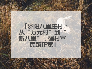 济阳八里庄村：从“万元村”到“新八里”，强村富民路正宽