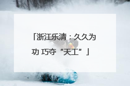 浙江乐清：久久为功 巧夺“天工”