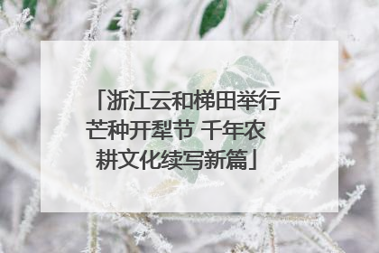 浙江云和梯田举行芒种开犁节 千年农耕文化续写新篇