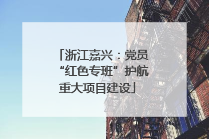 浙江嘉兴：党员“红色专班”护航重大项目建设