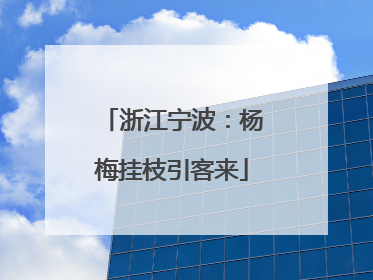 浙江宁波：杨梅挂枝引客来
