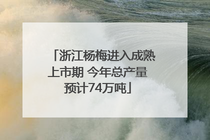 浙江杨梅进入成熟上市期 今年总产量预计74万吨