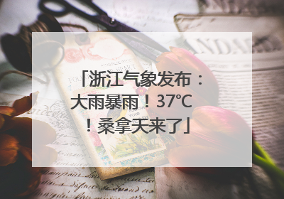 浙江气象发布：大雨暴雨！37℃！桑拿天来了