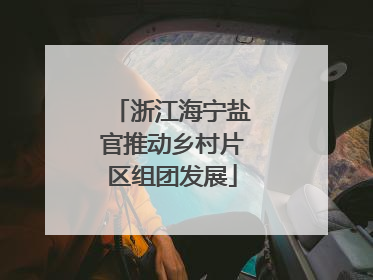 浙江海宁盐官推动乡村片区组团发展