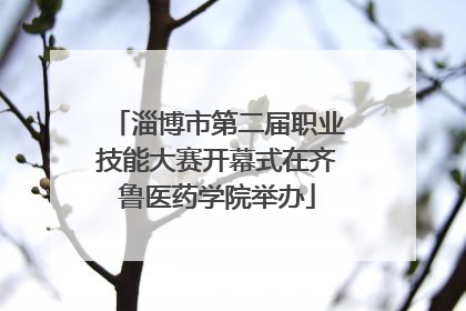 淄博市第二届职业技能大赛开幕式在齐鲁医药学院举办