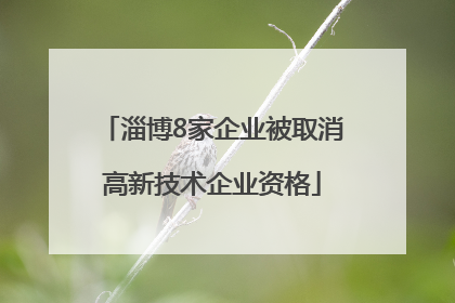 淄博8家企业被取消高新技术企业资格