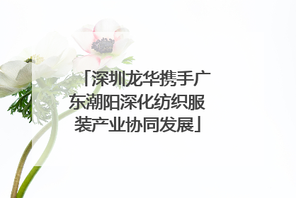 深圳龙华携手广东潮阳深化纺织服装产业协同发展