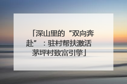 深山里的“双向奔赴”：驻村帮扶激活茅坪村致富引擎