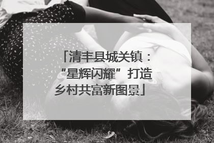 清丰县城关镇：“星辉闪耀”打造乡村共富新图景