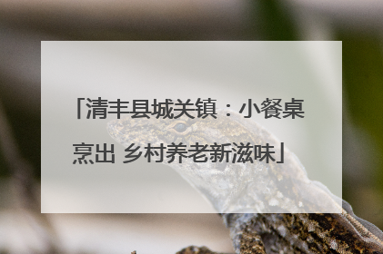 清丰县城关镇：小餐桌烹出 乡村养老新滋味
