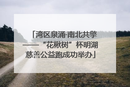 湾区泉涌·南北共擎——“花楸树”杯明湖慈善公益跑成功举办