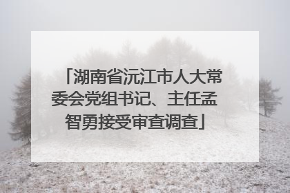 湖南省沅江市人大常委会党组书记、主任孟智勇接受审查调查